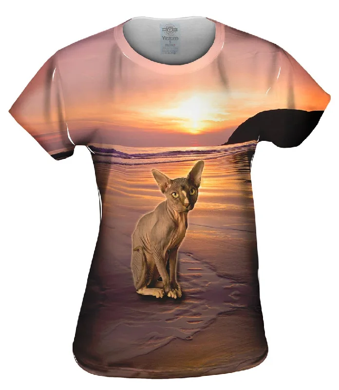 Sphynx Cat Beach Sunset